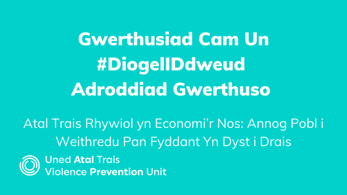 Gwerthusiad Cam Un #DiogelIDdweud