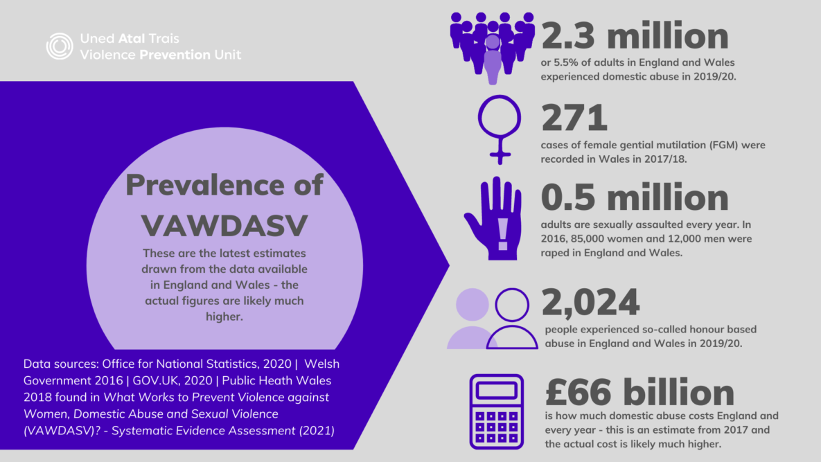 Image shows: prevalence of VAWDASV