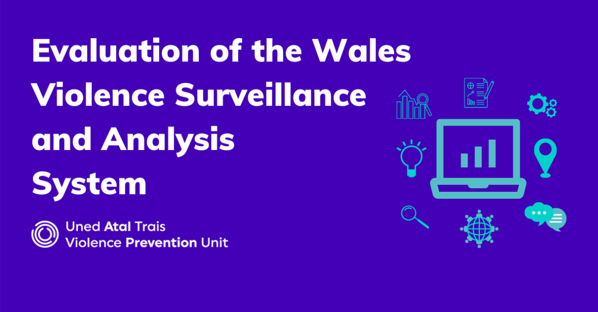 Image shows text 'Evaluation: Wales Violence Surveillance and Analysis System'